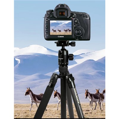 佳能/CANON HG-100TBR 三腳架 能輕巧便攜碳纖維三腳架專(zhuān)業(yè)高清攝影微電影婚禮錄像支架帶云臺(tái) 